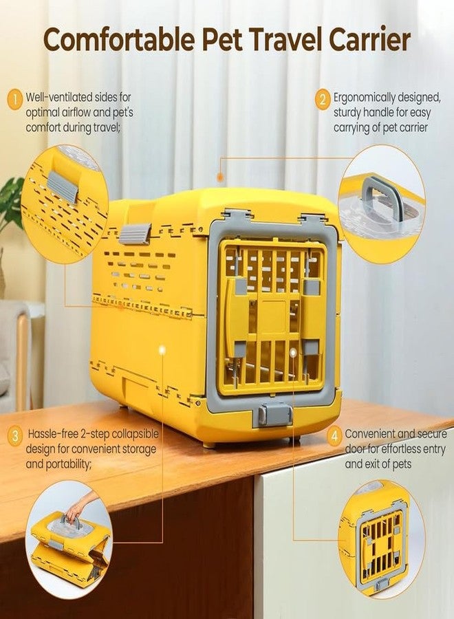 BohoBark Puppy Crate Heavy Duty Cat Transport Box for Rabbit Kitten Puppy (Yellow) - Image 5